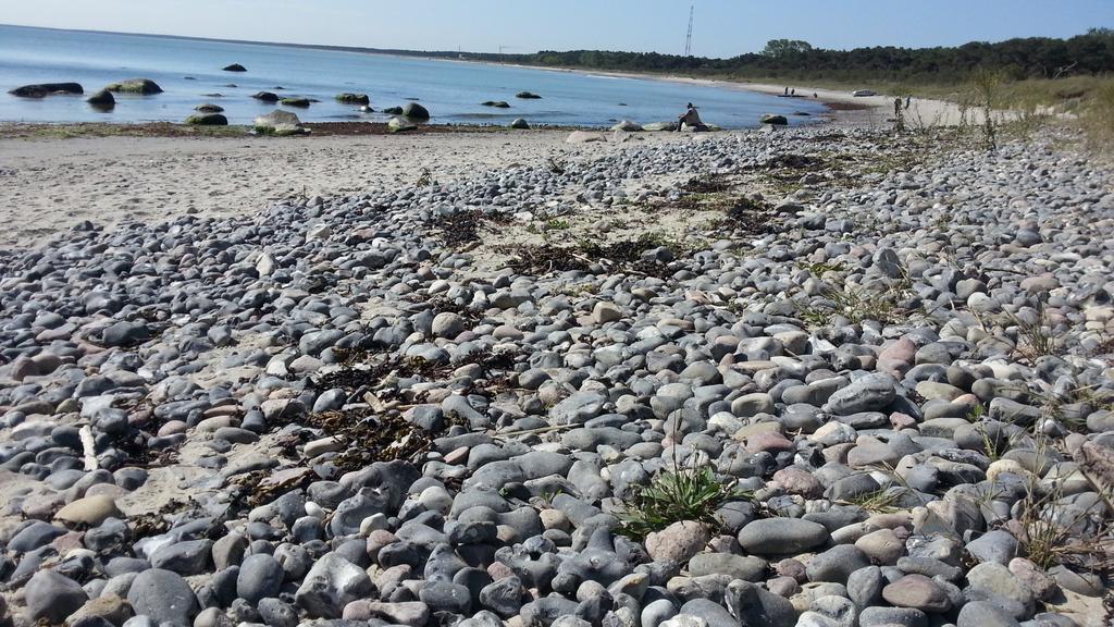 Ferienwohnungen Ruegen Findling 布雷格 外观 照片