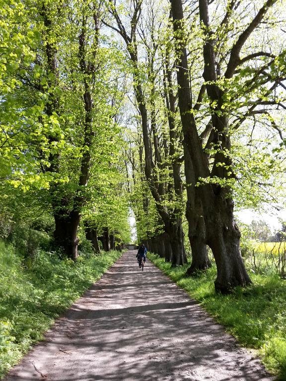 Ferienwohnungen Ruegen Findling 布雷格 外观 照片