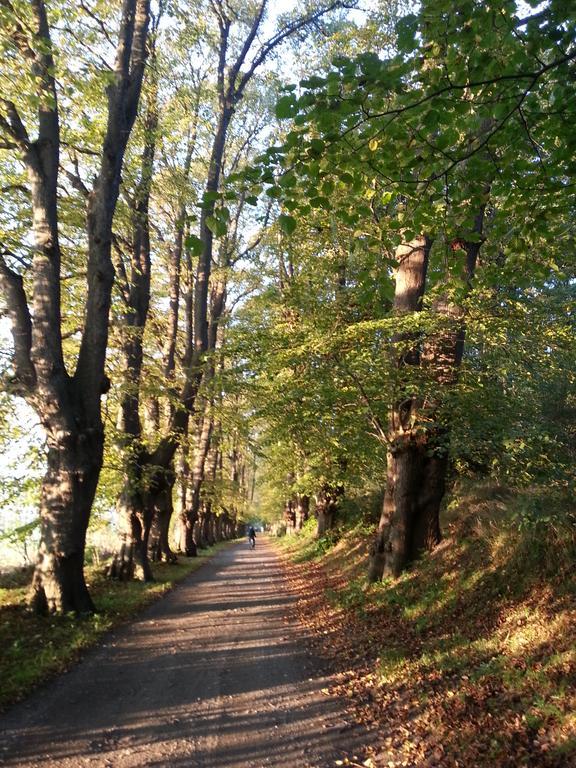 Ferienwohnungen Ruegen Findling 布雷格 外观 照片